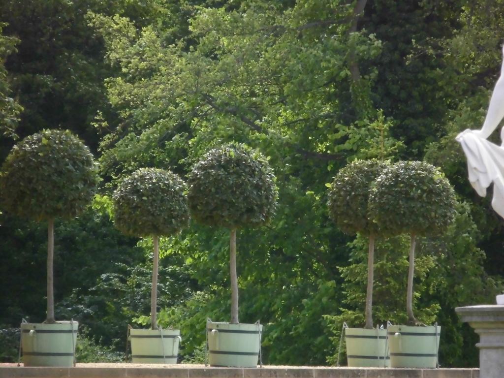Schlossparkferienwohnungen Rheinsberg Mit Garten المظهر الخارجي الصورة